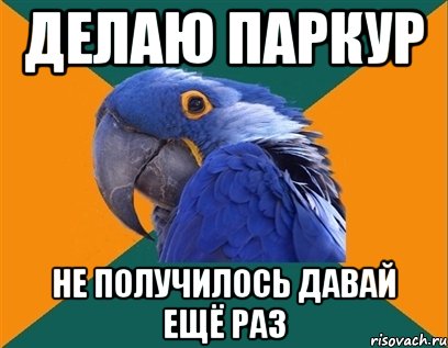 делаю паркур не получилось давай ещё раз, Мем Попугай параноик