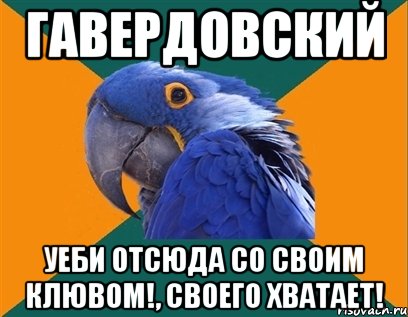 гавердовский уеби отсюда со своим клювом!, своего хватает!, Мем Попугай параноик