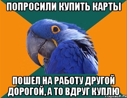 попросили купить карты пошел на работу другой дорогой, а то вдруг куплю, Мем Попугай параноик