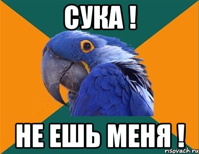 сука ! не ешь меня !, Мем Попугай параноик