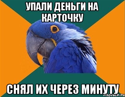 упали деньги на карточку снял их через минуту, Мем Попугай параноик