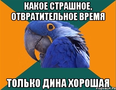 какое страшное, отвратительное время только дина хорошая, Мем Попугай параноик