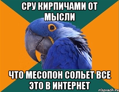 сру кирпичами от мысли что месопон сольет все это в интернет, Мем Попугай параноик