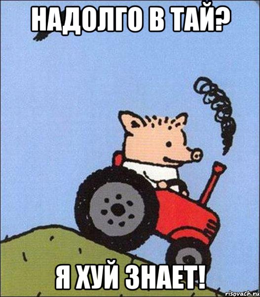 надолго в тай? я хуй знает!, Мем porosenok