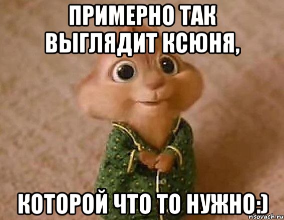 примерно так выглядит ксюня, которой что то нужно:), Мем Примерно так выглядит Ксюня кото