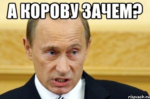 а корову зачем? , Мем путин