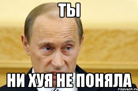 ты ни хуя не поняла, Мем путин