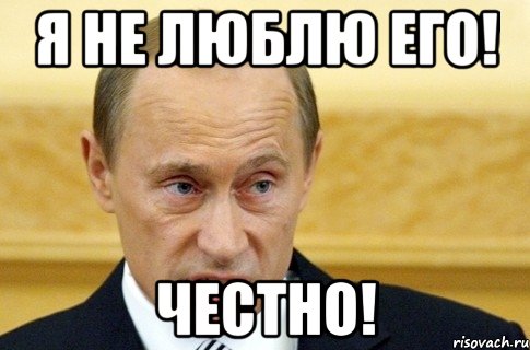 я не люблю его! честно!, Мем путин