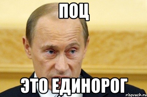 поц это единорог, Мем путин