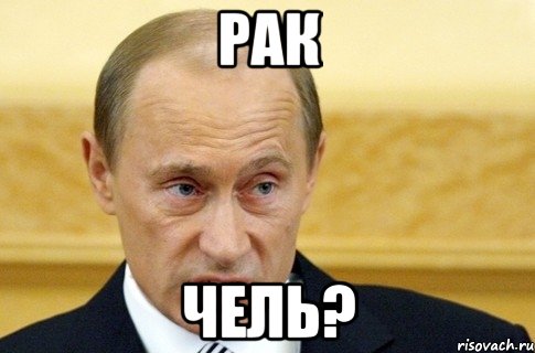 рак чель?, Мем путин