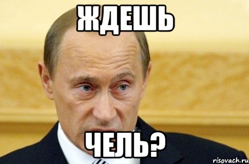 ждешь чель?, Мем путин