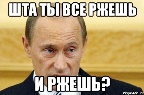 шта ты все ржешь и ржешь?, Мем путин