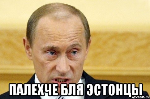  палехче бля эстонцы, Мем путин