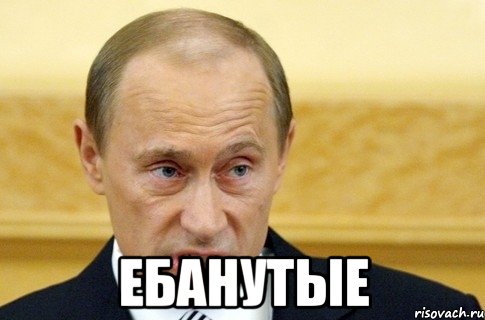  ебанутые, Мем путин