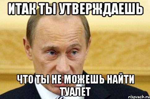 итак ты утверждаешь что ты не можешь найти туалет, Мем путин