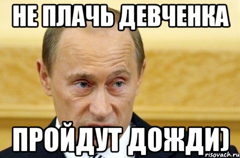 не плачь девченка пройдут дожди), Мем путин