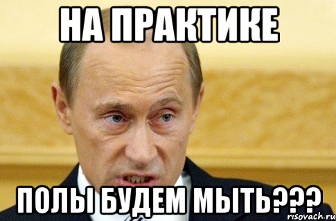 на практике полы будем мыть???, Мем путин