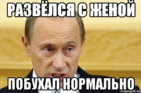 развёлся с женой побухал нормально, Мем путин