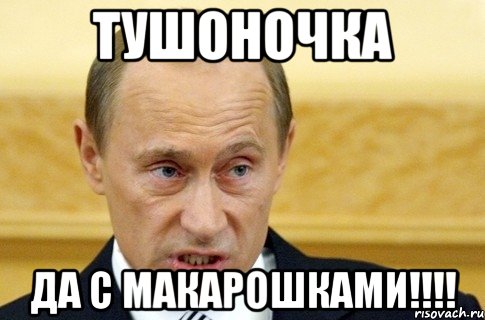 тушоночка да с макарошками!!!, Мем путин