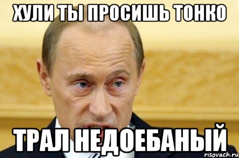 хули ты просишь тонко трал недоебаный, Мем путин