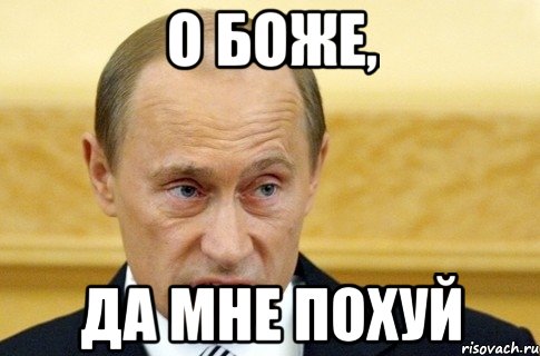 о боже, да мне похуй, Мем путин