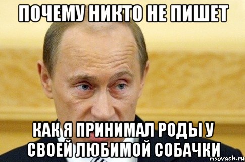 почему никто не пишет как я принимал роды у своей любимой собачки, Мем путин