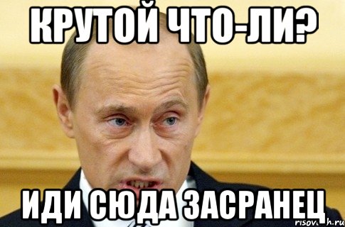 крутой что-ли? иди сюда засранец, Мем путин