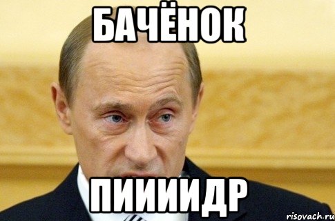 бачёнок пиииидр, Мем путин