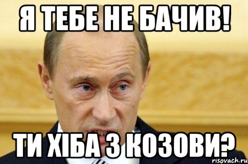 я тебе не бачив! ти хіба з козови?, Мем путин