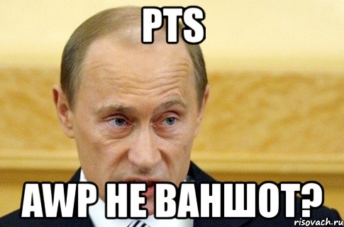 pts awp не ваншот?, Мем путин