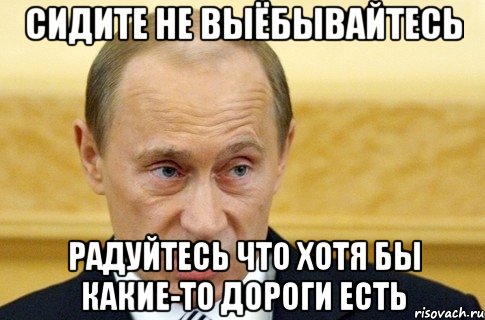 сидите не выёбывайтесь радуйтесь что хотя бы какие-то дороги есть, Мем путин