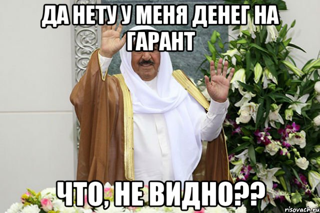 да нету у меня денег на гарант что, не видно??, Мем rgtwer
