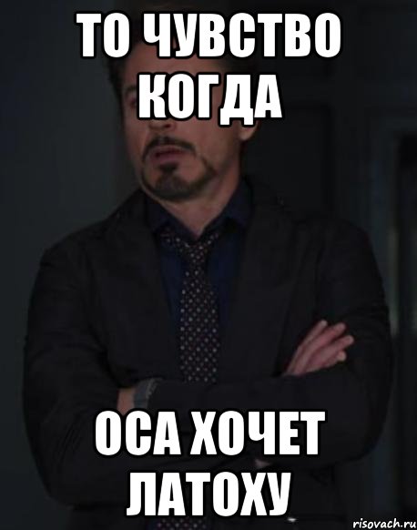 то чувство когда оса хочет латоху, Мем твое выражение лица