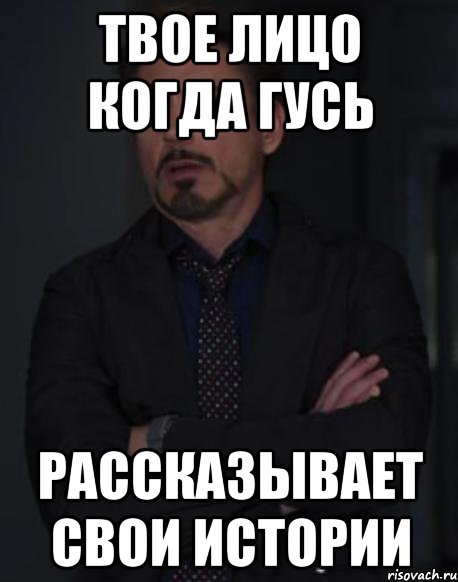 твое лицо когда гусь рассказывает свои истории, Мем твое выражение лица