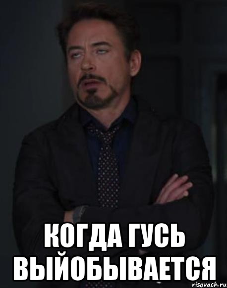  когда гусь выйобывается, Мем твое выражение лица