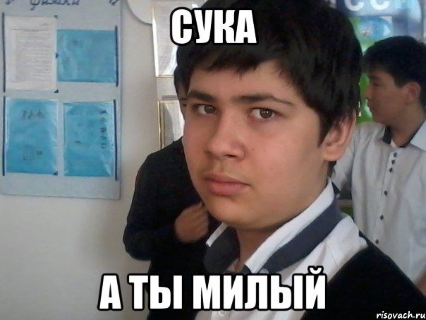 сука а ты милый, Мем Тима