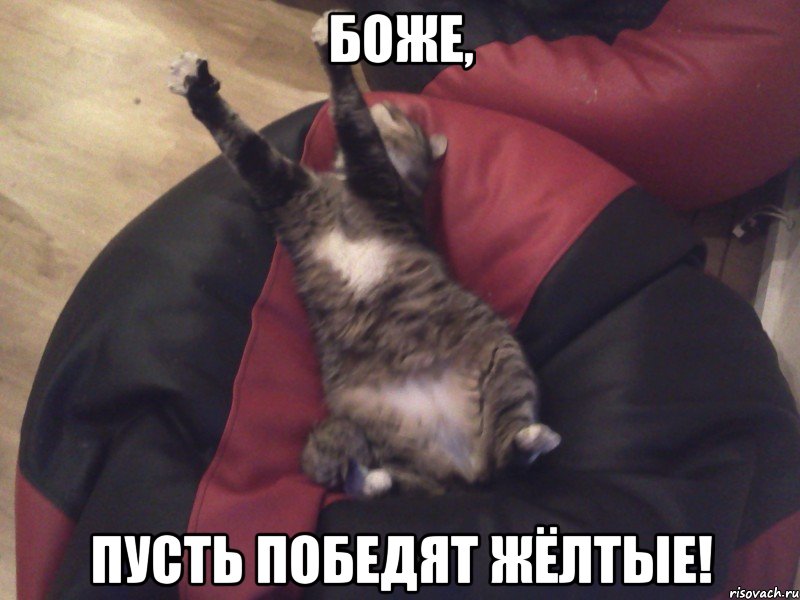 боже, пусть победят жёлтые!, Мем с Xenobait