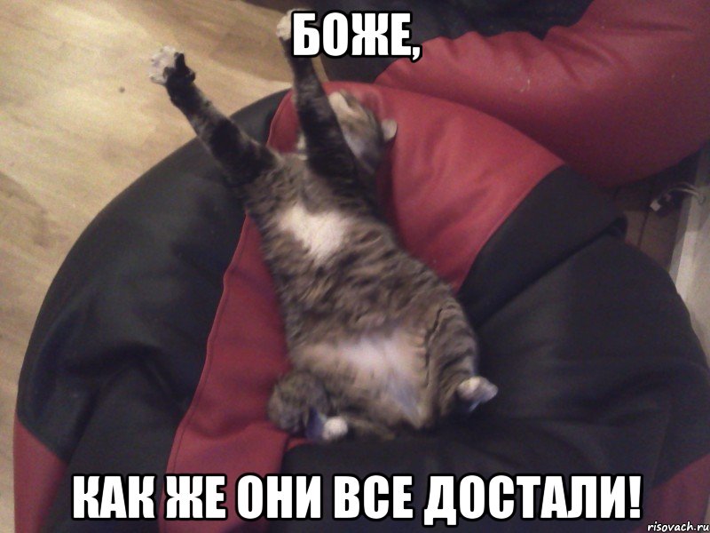 боже, как же они все достали!, Мем с Xenobait