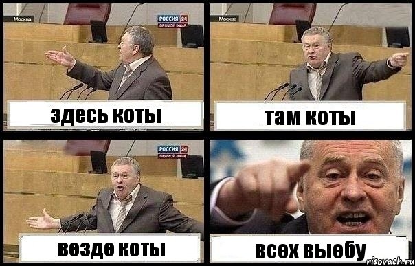 здесь коты там коты везде коты всех выебу