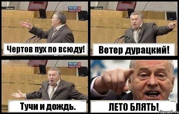 Чертов пух по всюду! Ветер дурацкий! Тучи и дождь. ЛЕТО БЛЯТЬ!