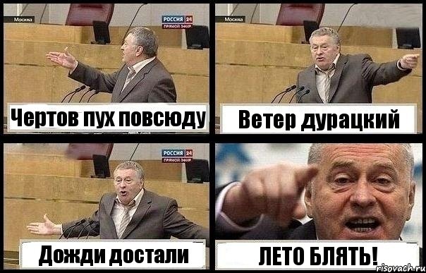 Чертов пух повсюду Ветер дурацкий Дожди достали ЛЕТО БЛЯТЬ!