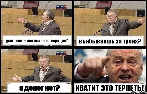 умирают животные на операции? въябываешь за троих? а денег нет? ХВАТИТ ЭТО ТЕРПЕТЬ!