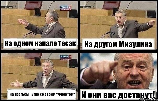 На одном канале Тесак На другом Мизулина На третьем Путин со своим "Фронтом" И они вас достанут!