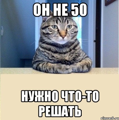 он не 50 нужно что-то решать, Мем серьезный кот