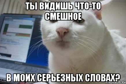 ты видишь что-то смешное в моих серьезных словах?