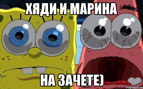 хяди и марина на зачете), Мем Сеся