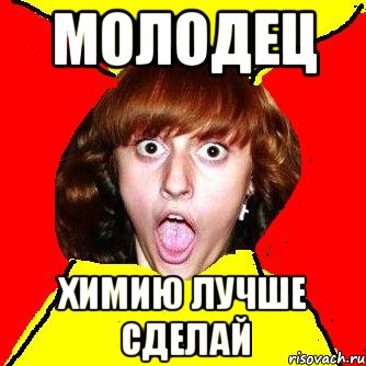 молодец химию лучше сделай, Мем Шилова