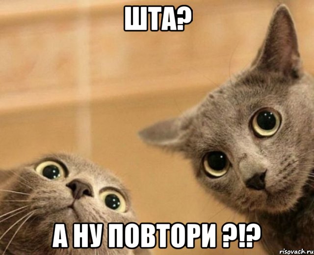 шта? а ну повтори ?!?, Мем ШТА