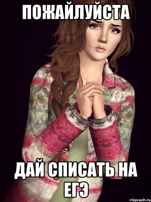 пожайлуйста дай списать на егэ, Мем Симка