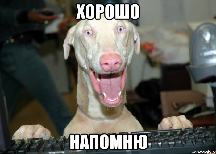 хорошо напомню